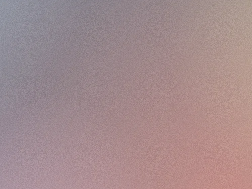 写真的な画像・WebPの同一箇所の拡大画像